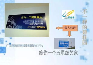 碧桂園的公關(guān)策劃 以匠心筑家，以真誠(chéng)溝通